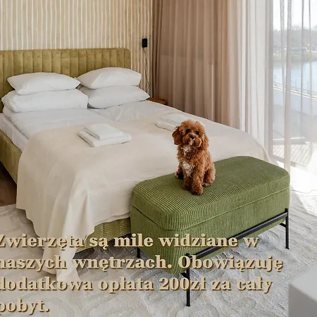 Baltycka 20 Surfingbird